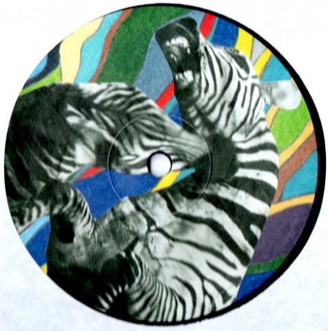 Vechtende zebra's op het label van kant B